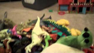 Dinosaur toy collection [upl. by Filbert]