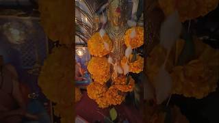 आली माझ्या घरी ही diwali diwalispecial diwali2024 laxmi [upl. by Adnohsor]