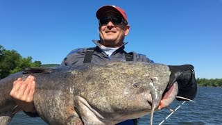 Catching Giant Flathead Catfish on the Tennessee River [upl. by Enyar]