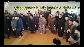 sgt peppers lonely hearts club band [upl. by Ynittirb]