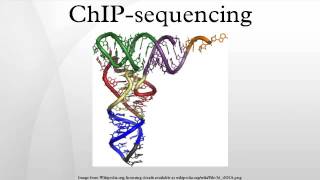 ChIPsequencing [upl. by Onder]