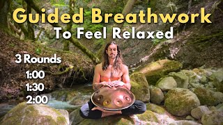 Guided Breathing For Relaxation I Take Control of Your Nervous System [upl. by Burget775]