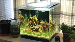 ciano nexus pure 25 aquarium 22 litre review Pump WARNING Please watch before you buy [upl. by Pitzer]