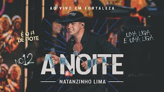 Natanzinho Lima  A Noite  No Doze [upl. by Uolymme]