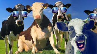 FUNNY COW DANCE 11 │ Cow Song amp Cow Videos 2021 [upl. by Zenas178]