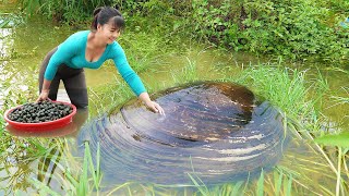 Harvesting Mussels Underneath The Mud Goes To Market Sell  Cooking Mussels  New Free Bushcraft [upl. by Nirrat]