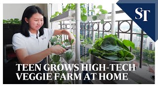 Teen grows sustainable hydroponic farm at home [upl. by Annahtur]