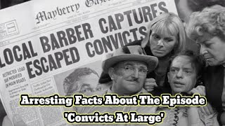 Arresting Facts About The Episode Convicts At Large [upl. by Ezarras265]