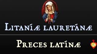 🇻🇦Litaníæ lauretánæ Recitamos en latín eclesiástico [upl. by Shien]