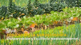 Todo sobre la Agroecología Conservación y equilibrio medioambiental  TvAgro por Juan Gonzalo Angel [upl. by Ethben465]