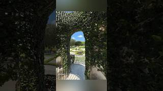 Vizcaya Museum Miami tours travel usa relaxing youtubeshorts shortvideo shorts nature live [upl. by Jecho]