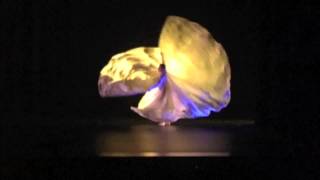 Jody Sperling performs Loie Fuller style solo quotClair de lunequot at UMass FAC [upl. by Shannan459]