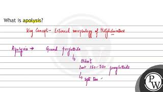 What is apolysis [upl. by Adella]