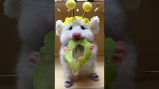 Look at this I can even eat bitter melon hamsters funnypets [upl. by Eldora]