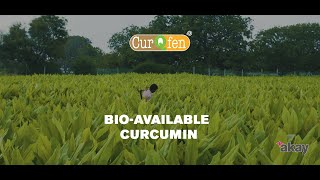 CurQfen ®  Beyond Bioavailability  Bio available curcumin [upl. by Brandice]