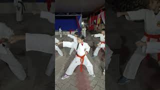 karate martialarts shotokan karatekid selfdefencekaraterkm [upl. by Hullda887]