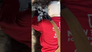 Repointing Stone Foundations New England Foundation Crack Repair [upl. by Roselle548]