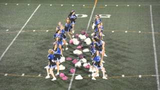 SHS Poms 201516  Sherwood vs Northwest [upl. by Berton]