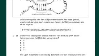 VWO biologie Examenuitleg 2013 tijdvak 2 vr 2329 [upl. by Joice]