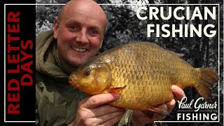 Crucian Carp Fishing  Crucian Baits Crucian Rigs and Top Crucian Tactics [upl. by Leonanie]