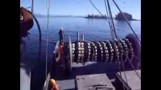 Fishing Sardines on the west coast of Vancouver Island 2012 [upl. by Yrot]