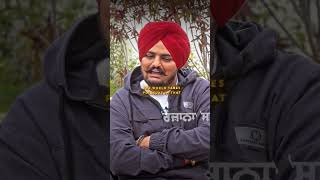 295 Sidhu moose wala New song sidhumoosewala punjabi shorts [upl. by Falito]