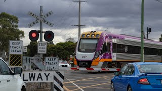 Kilgour Street Geelong Vic  VLine Railway Crossing [upl. by Aryhs]