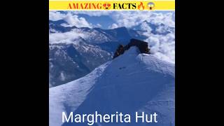 Margherita Hut 😱 Facts about Margherita HutIkunalfactofficialfacts kunalfactofficial5876 [upl. by Edan]