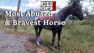 Scarred Black Rabicano  Unique Horse in Red Dead Redemption 2 [upl. by Dorelle]