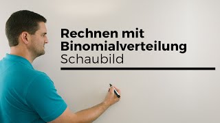 Rechnen mit Binomialverteilung anhand vom Schaubild Stochastik Wahrscheinlichkeit [upl. by Luane]