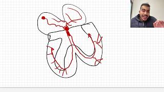 Cardiac Arrhythmias and Their Electrocardiographic Interpretation  part 1 [upl. by Goraud]