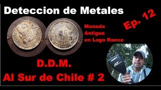 DETECCION DE METALES Chile Parte 2 Detectando por el Sur de Chile Lago Ranco Futrono [upl. by Katherina]