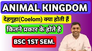 What is coelom and its types देहगुहा क्या होती हैं और types Bsc 1st year 1 semester [upl. by Gibbon637]