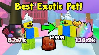 Got The Best Exotic Pet Infinite Loots Using This Method In Pet Simulator [upl. by Bianchi140]