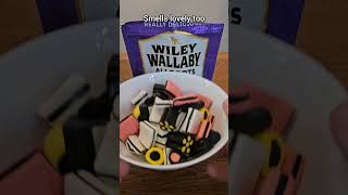 Wiley Wallaby Allsorts Licorice 🦘 licorice candy wallaby asmr food candies [upl. by Cressida]