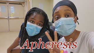 Apheresis  Exchange Transfusion  Vlog Appointment [upl. by Annaujat]