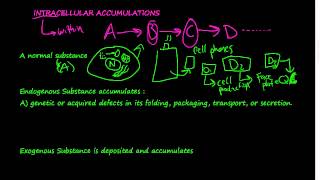 14  Intracellular Accumulations  cells retain substances due to 3 main ways [upl. by Gav176]