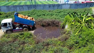 Completed project by Dozer D20 20 amp 5T Truck pushing stone into water [upl. by Yarw]