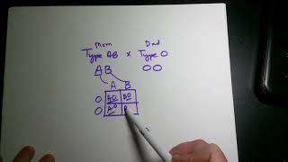 AP Biology Blood type punnett squares [upl. by Mohorva476]