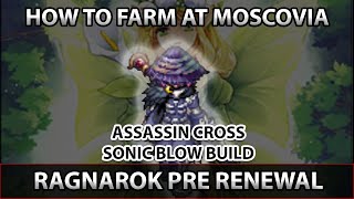 How to Farm at Moscovia with Assassin Cross Sonic Blow Ragnarok Pre Renewal [upl. by Luedtke]