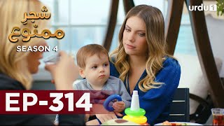 ShajareMamnu  Episode 314  Turkish Drama  Forbidden Fruit  Urdu Dubbing  22 February 2022 [upl. by Reve]