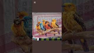 Golden bird saree artist art bard nature artwork artlife art [upl. by Neenej]