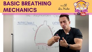 Basic Breathing Mechanics [upl. by Hilary391]