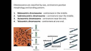 07 Cytotaxonomy [upl. by Wu]