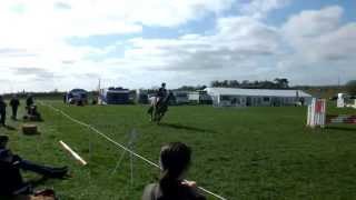 Ascott Under Wychwood BE90 ODE Show Jumping [upl. by Berner362]