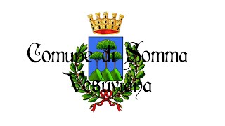 Seduta Consiglio Comunale di Somma Vesuviana 19 Febbraio 2024 [upl. by Denver]