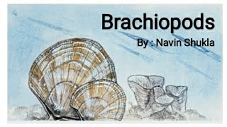 BrachiopodsByNavin ShuklaLasthope [upl. by Anibor864]