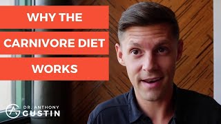 The Real Reasons Why The Carnivore Diet Works [upl. by Durno]