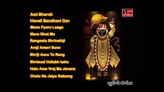 Shrinathji Satsang  Top 10 Songs  Maara Ghat Ma Birajta Shrinathji [upl. by Enelehcim]