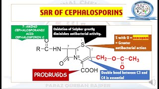 Structure Activity Relationship SAR of cephalosporin  Beta Lactam Antibiotics  Medicinal Chemistry [upl. by Nerek622]